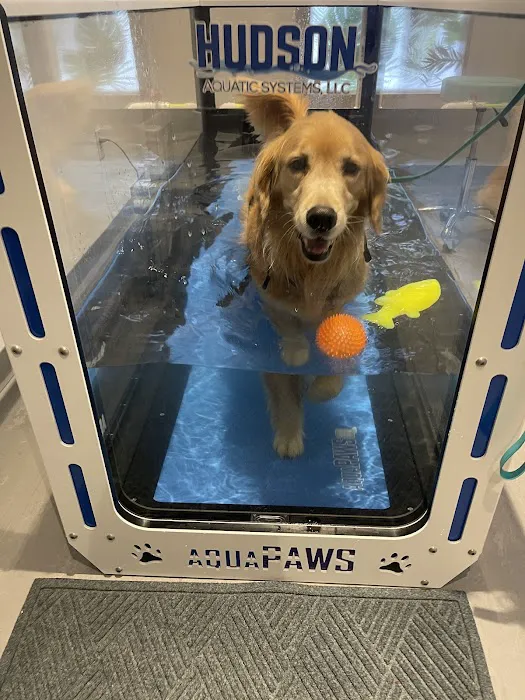 Sage Canine Rehabilitation Center 12