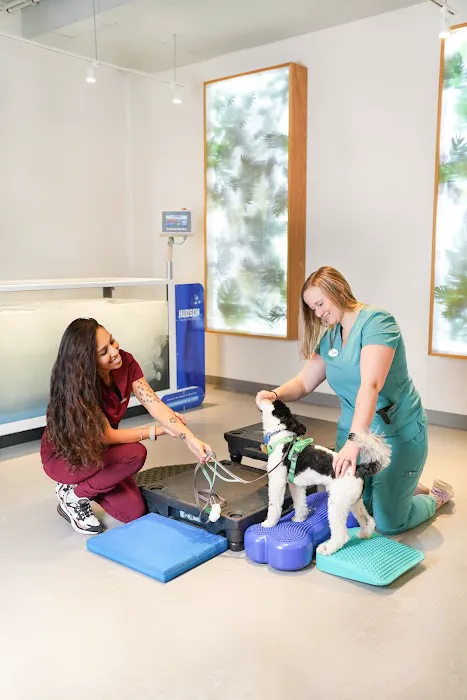Sage Canine Rehabilitation Center 12
