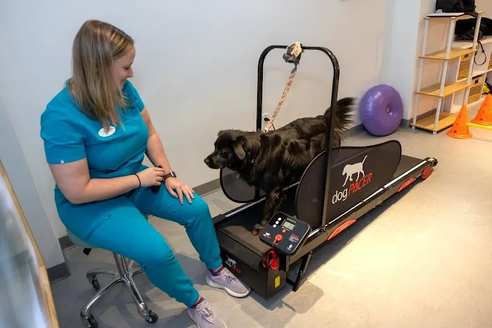 Sage Canine Rehabilitation Center 12