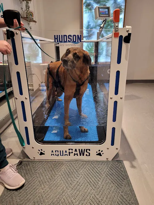 Sage Canine Rehabilitation Center 12