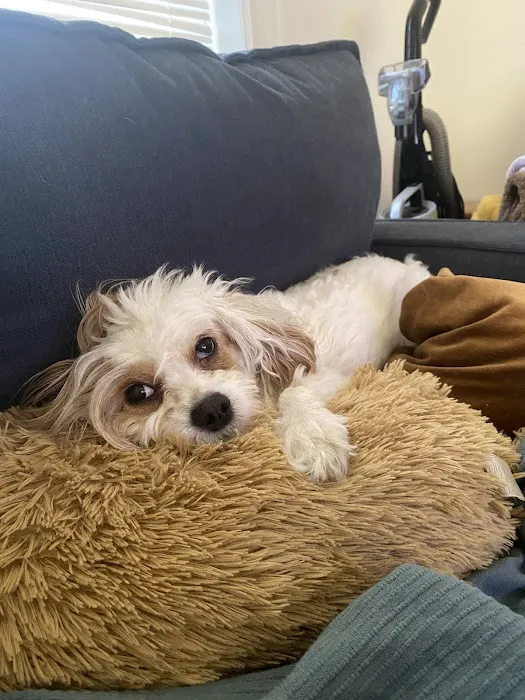 Sage Veterinary Center 12
