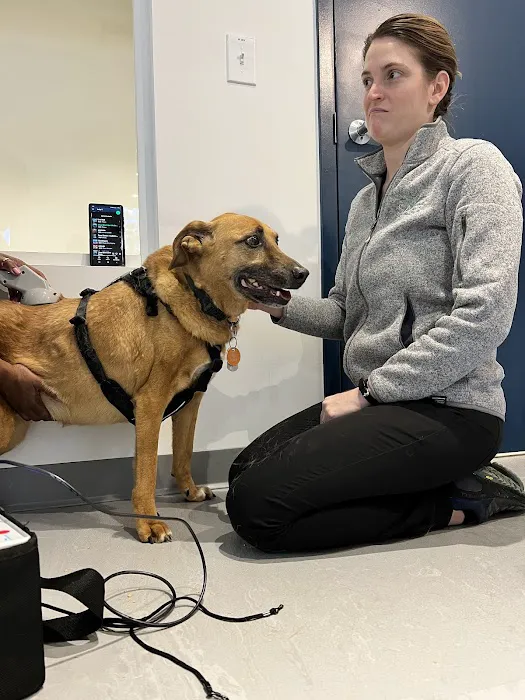 Sage Veterinary Center 12
