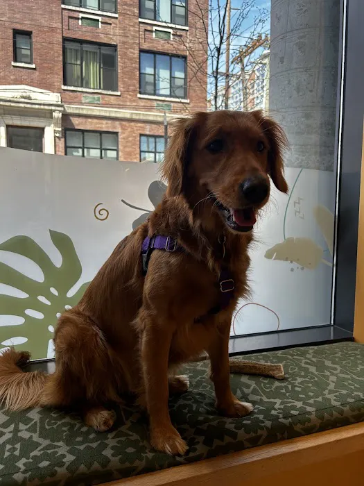 Sage Veterinary Center 12