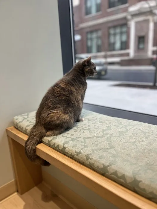 Sage Veterinary Center 12