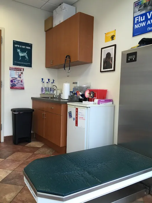 Newport Veterinary Center 12