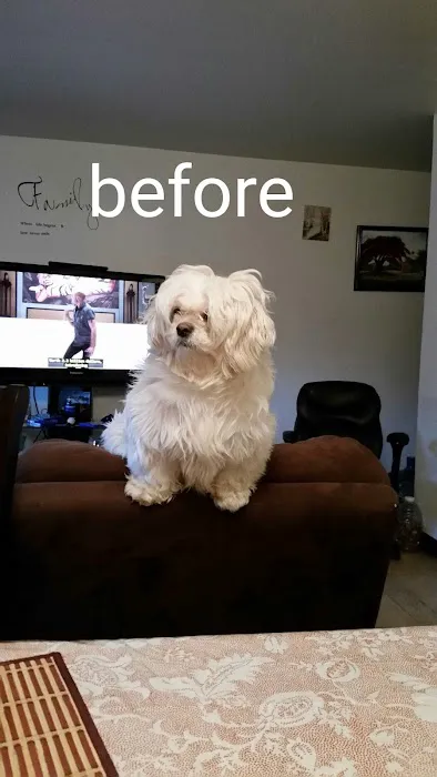 Banfield Pet Hospital 12