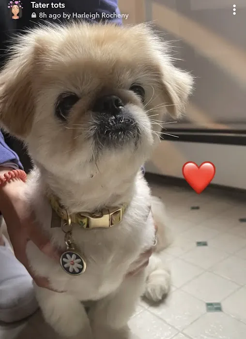 Banfield Pet Hospital 12