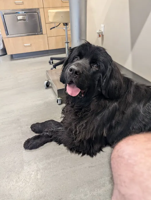 Pocono Peak Veterinary Center 12