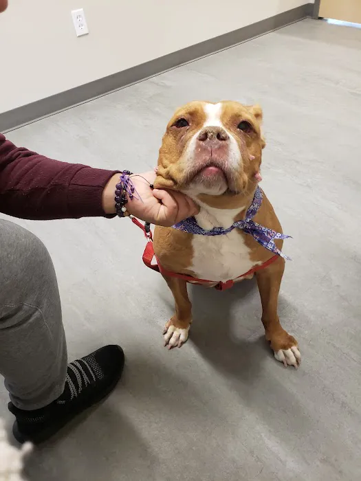 Pocono Peak Veterinary Center 12