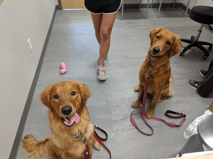 Pocono Peak Veterinary Center 12
