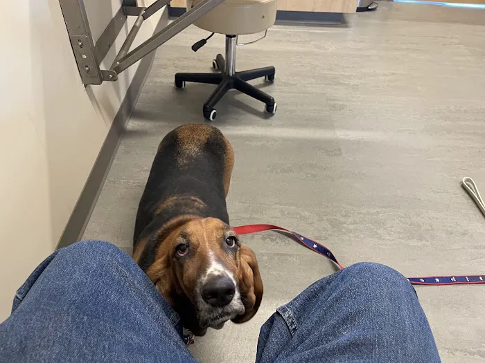 Pocono Peak Veterinary Center 12