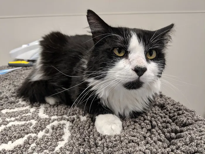 Pocono Peak Veterinary Center 12