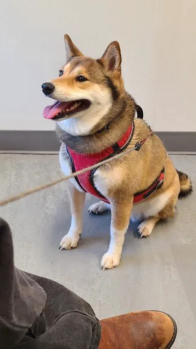Pocono Peak Veterinary Center 12