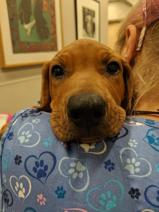 Pocono Peak Veterinary Center 12