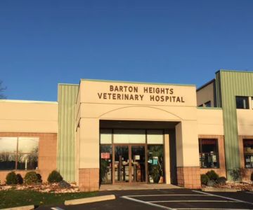 Veterinary Emergency & Referral Hospital
