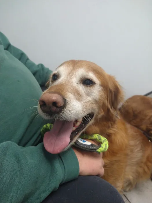 Barton Heights Veterinary Hospital 12