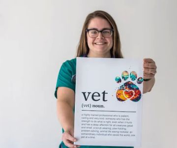 Healing Paws Veterinary Center
