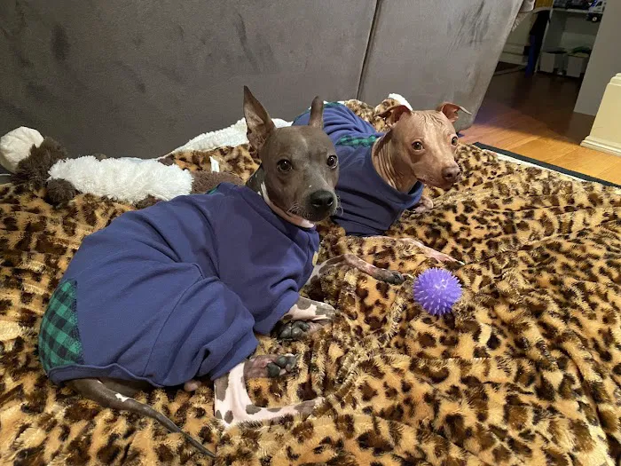 Healing Paws Veterinary Center 5