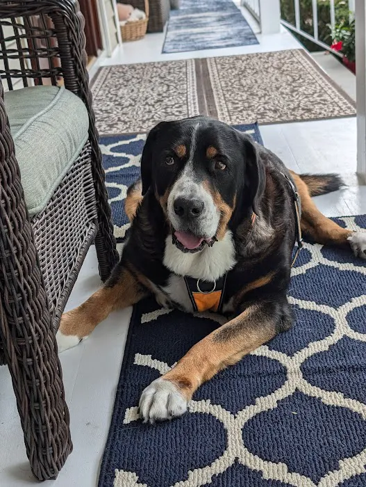Healing Paws Veterinary Center 8