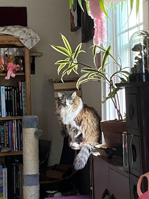 VCA Mount Kisco Veterinary Clinic 8