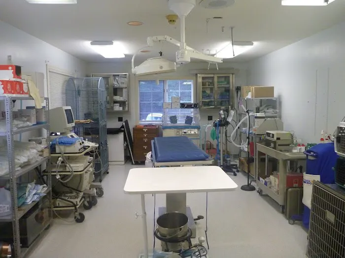 Bedford Greenwich Animal Hospital 10