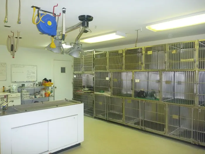 Bedford Greenwich Animal Hospital 9