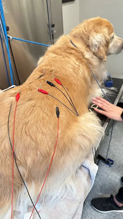 Progressive Animal Hospital 12