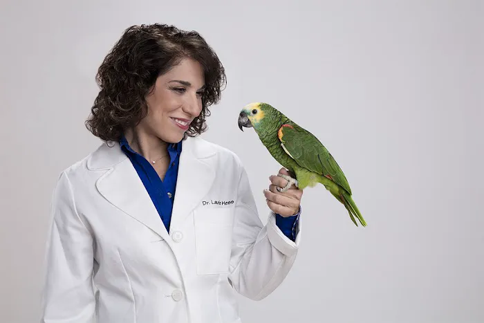 LAURIE HESS DVM - EXOTIC PET VET 1