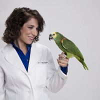 LAURIE HESS DVM - EXOTIC PET VET ico