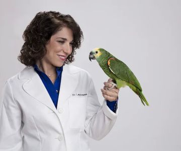 LAURIE HESS DVM - EXOTIC PET VET