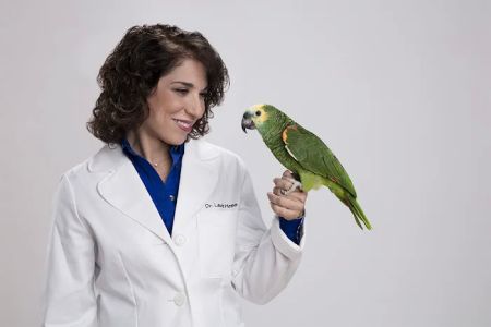 LAURIE HESS DVM - EXOTIC PET VET
