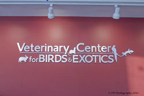 LAURIE HESS DVM - EXOTIC PET VET 5