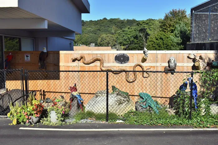 Veterinary Center for Birds & Exotics 4