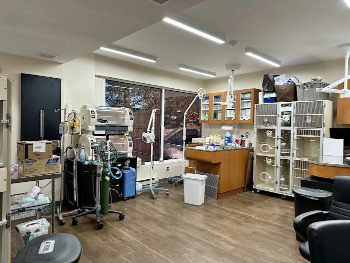 Veterinary Center for Birds & Exotics 10