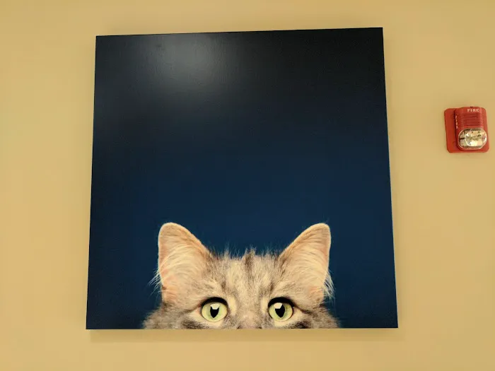 Katonah Bedford Veterinary Center 12