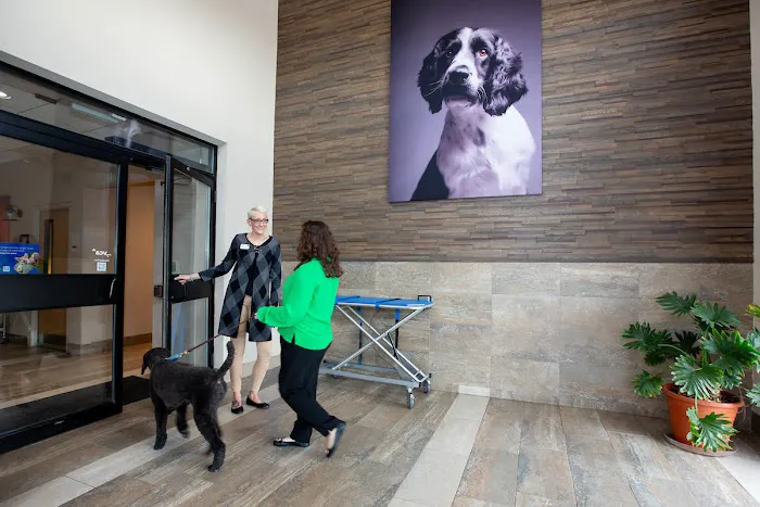 Katonah Bedford Veterinary Center 12