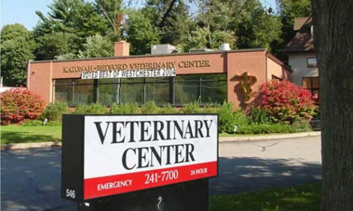 Katonah Bedford Veterinary Center 12