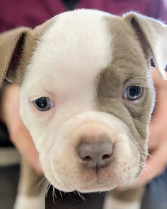 Middlebranch Veterinary 6
