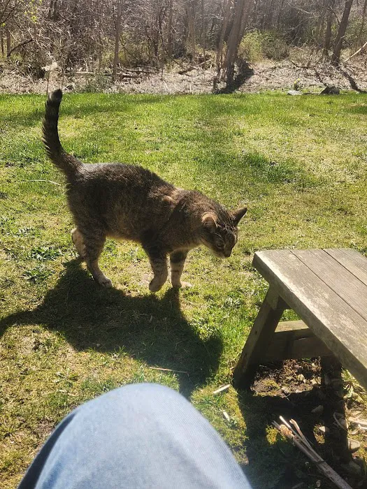 Middlebranch Veterinary 8