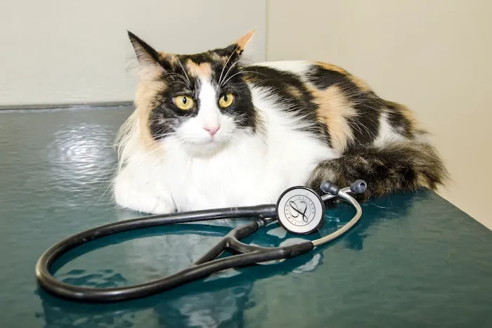 Middlebranch Veterinary 7