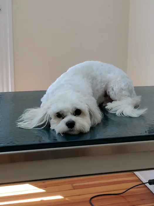 Middlebranch Veterinary 5