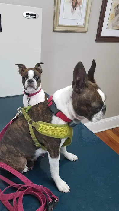 Middlebranch Veterinary 4