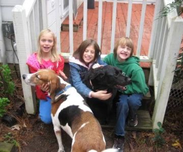 HOME VET CARE MOBILE VETERINARY SERVICE
