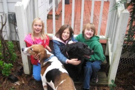 HOME VET CARE MOBILE VETERINARY SERVICE