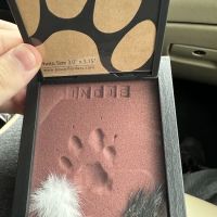 Guardian Veterinary Specialists ico