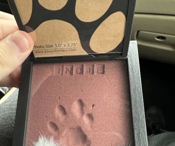 Guardian Veterinary Specialists
