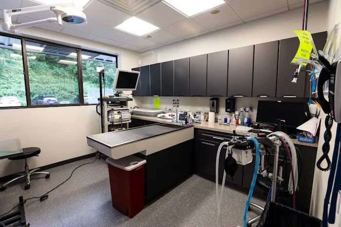 Guardian Veterinary Specialists 12