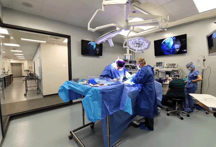 Guardian Veterinary Specialists 12