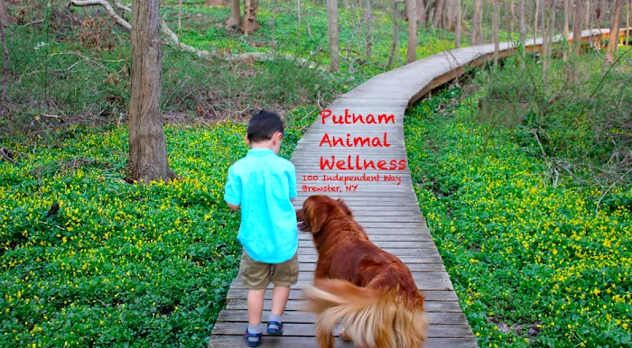 Putnam Animal Wellness 9