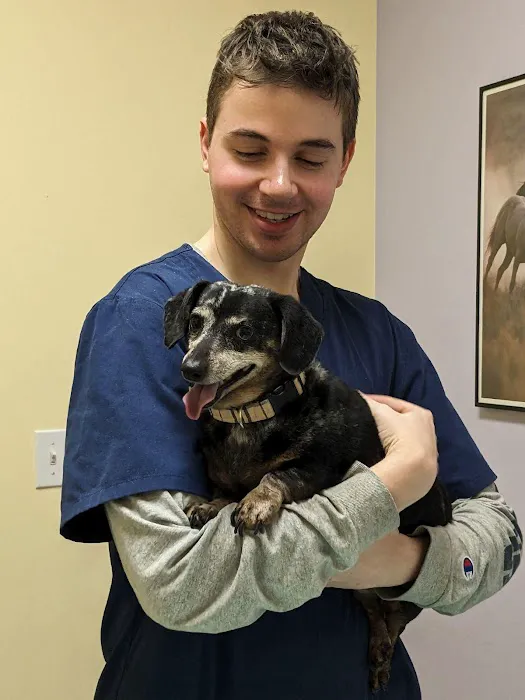Veterinary Care of Bedford 12